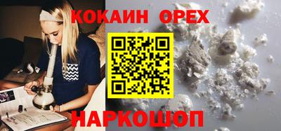 шишки Кимры