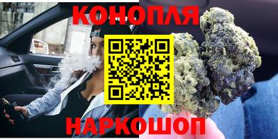 шишки Кимры