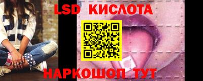 шишки Кимры