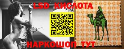 шишки Кимры