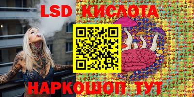 шишки Кимры