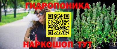 шишки Кимры