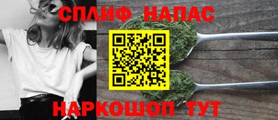 шишки Кимры