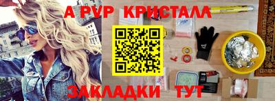 шишки Кимры